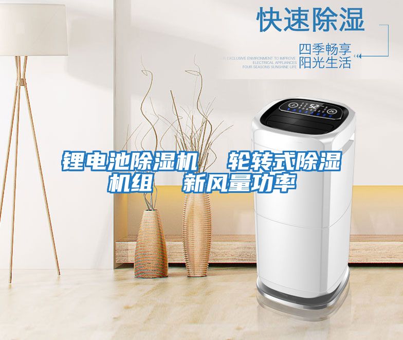 鋰電池除濕機  輪轉式除濕機組  新風量功率