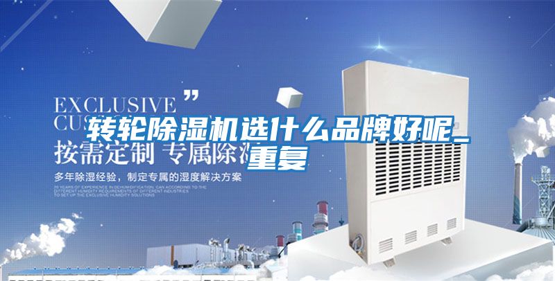 轉輪除濕機選什么品牌好呢_重復