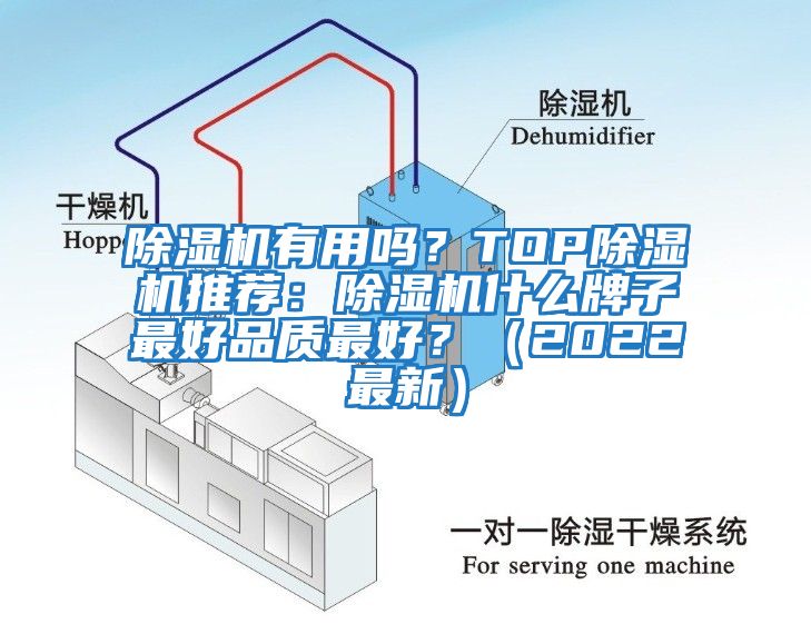 除濕機(jī)有用嗎？TOP除濕機(jī)推薦：除濕機(jī)什么牌子最好品質(zhì)最好？（2022最新）