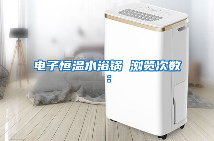 電子恒溫水浴鍋　　瀏覽次數：