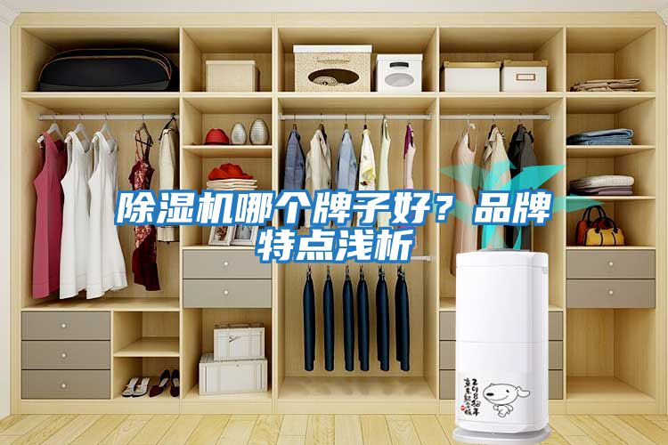 除濕機哪個牌子好？品牌特點淺析