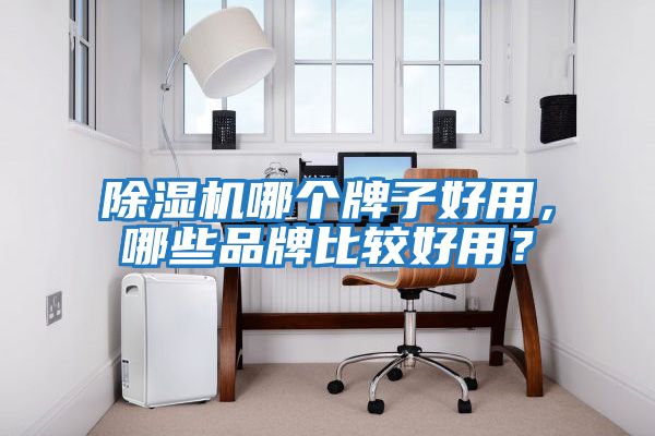除濕機哪個牌子好用，哪些品牌比較好用？