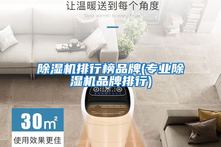 除濕機排行榜品牌(專業(yè)除濕機品牌排行)