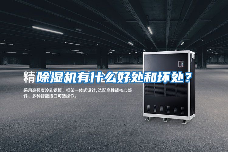 除濕機(jī)有什么好處和壞處？