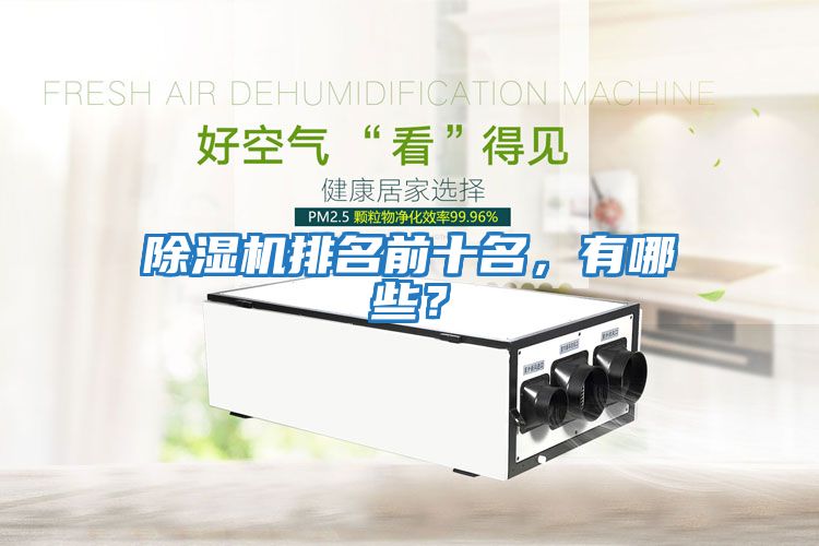 除濕機排名前十名，有哪些？