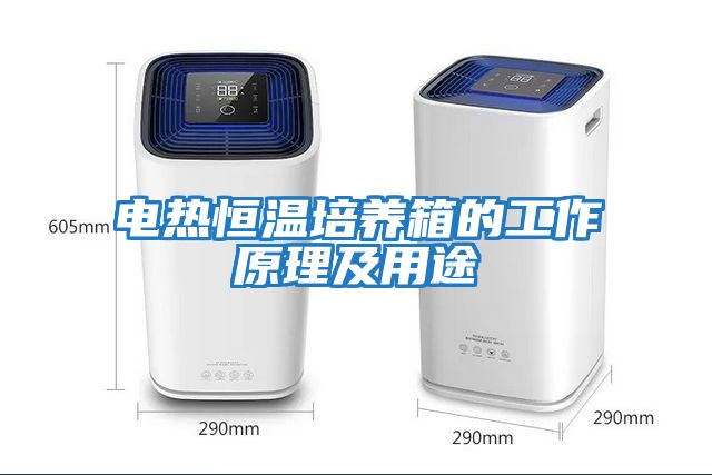 電熱恒溫培養箱的工作原理及用途