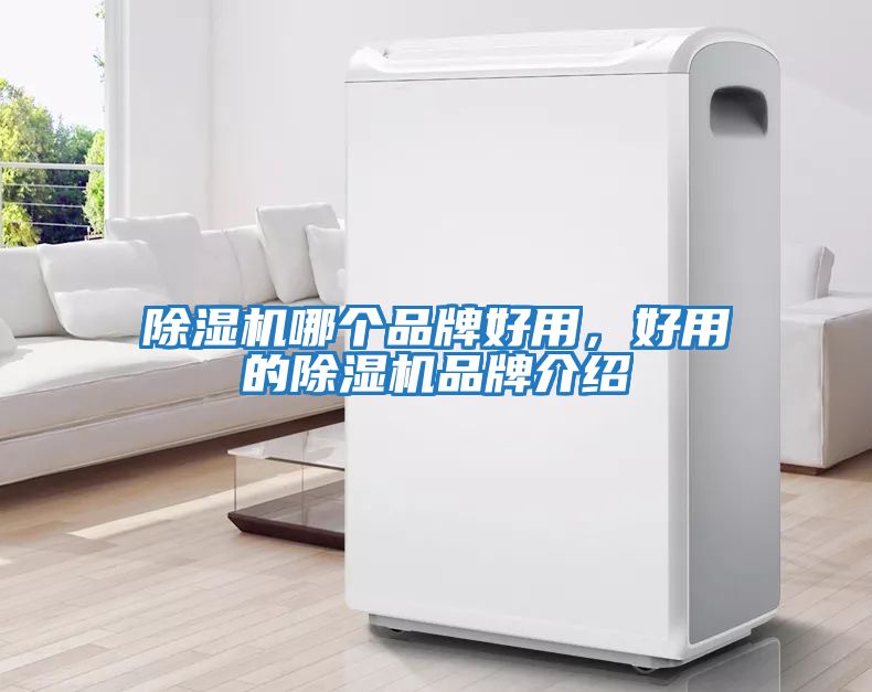除濕機(jī)哪個(gè)品牌好用，好用的除濕機(jī)品牌介紹