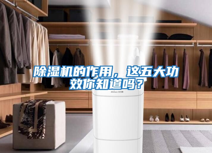 除濕機的作用，這五大功效你知道嗎？