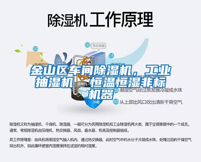 金山區(qū)車間除濕機，工業(yè)抽濕機  恒溫恒濕非標機器