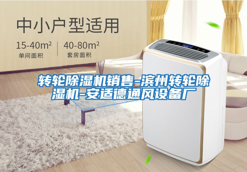 轉輪除濕機銷售-濱州轉輪除濕機-安適德通風設備廠