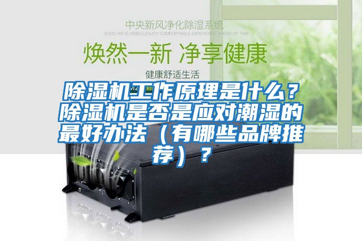 除濕機工作原理是什么？除濕機是否是應對潮濕的最好辦法（有哪些品牌推薦）？