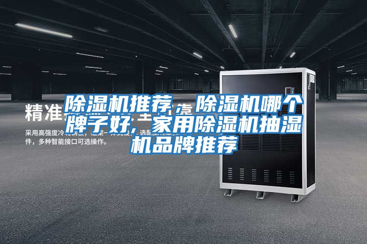 除濕機推薦，除濕機哪個牌子好, 家用除濕機抽濕機品牌推薦