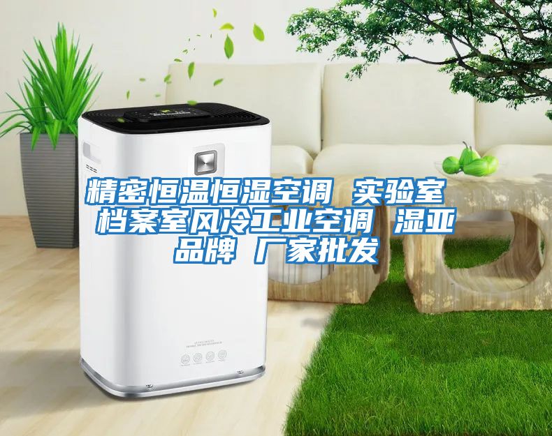 精密恒溫恒濕空調 實驗室 檔案室風冷工業空調 濕亞品牌 廠家批發