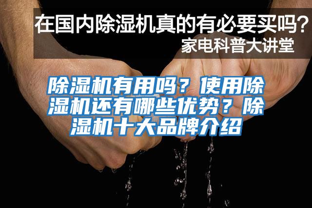 除濕機(jī)有用嗎？使用除濕機(jī)還有哪些優(yōu)勢(shì)？除濕機(jī)十大品牌介紹