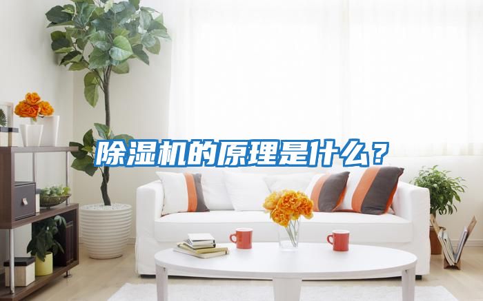 除濕機的原理是什么？