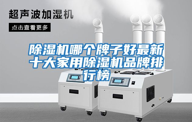 除濕機哪個牌子好最新十大家用除濕機品牌排行榜