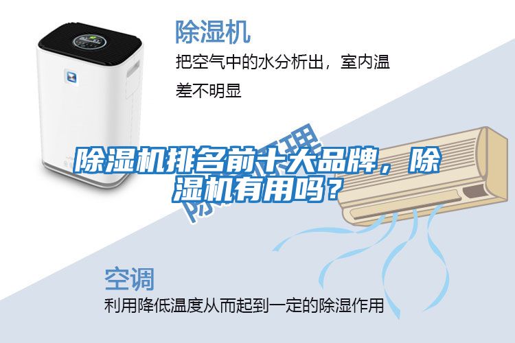 除濕機排名前十大品牌，除濕機有用嗎？