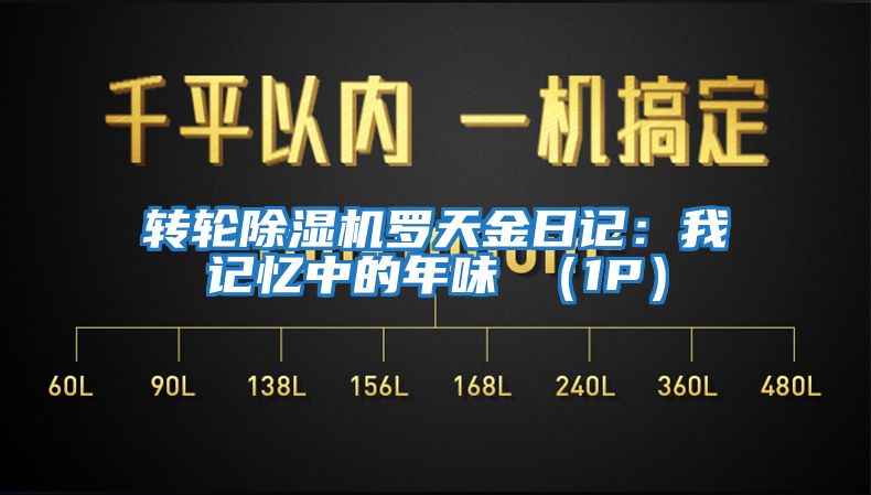 轉輪除濕機羅天金日記：我記憶中的年味 （1P）