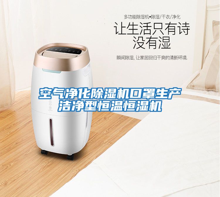 空氣凈化除濕機口罩生產潔凈型恒溫恒濕機