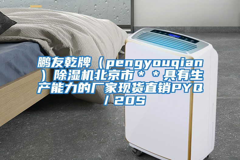 鵬友乾牌（pengyouqian）除濕機北京市＊＊具有生產能力的廠家現(xiàn)貨直銷PYQ／20S