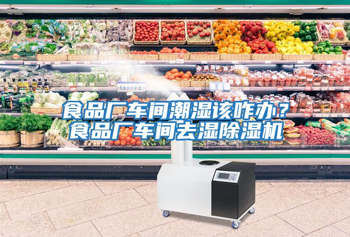食品廠車間潮濕該咋辦？食品廠車間去濕除濕機
