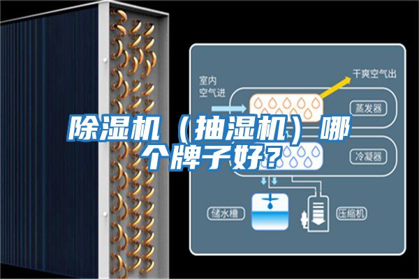 除濕機（抽濕機）哪個牌子好？