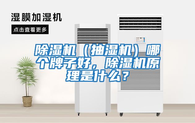 除濕機（抽濕機）哪個牌子好，除濕機原理是什么？