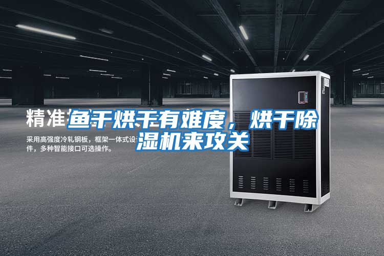 魚干烘干有難度，烘干除濕機來攻關