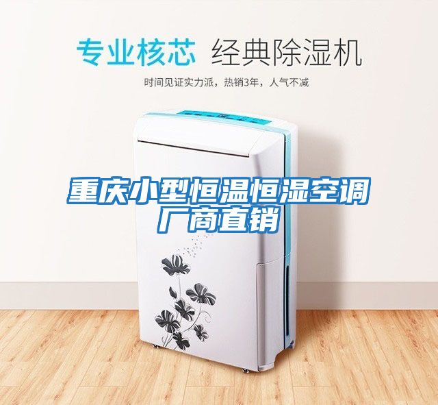 重慶小型恒溫恒濕空調廠商直銷