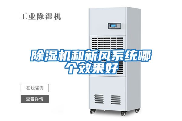 除濕機和新風系統哪個效果好