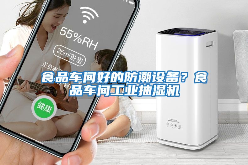 食品車間好的防潮設備？食品車間工業抽濕機
