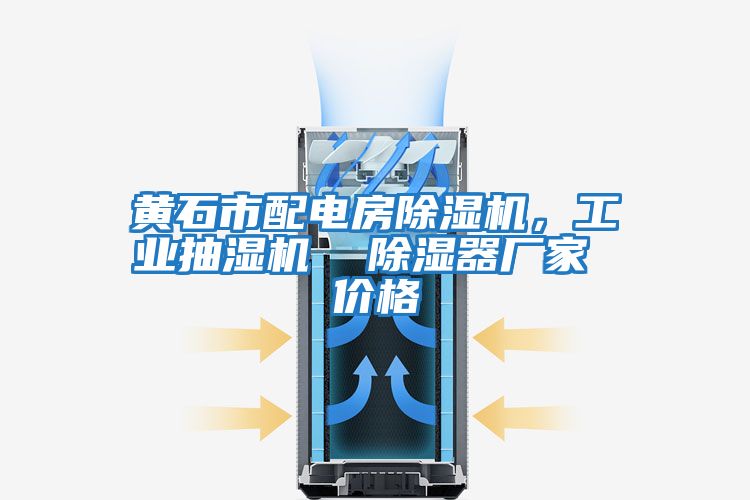 黃石市配電房除濕機，工業(yè)抽濕機  除濕器廠家 價格