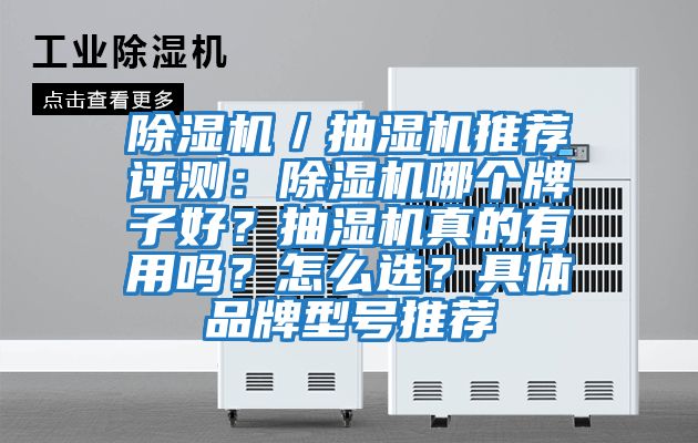 除濕機／抽濕機推薦評測：除濕機哪個牌子好？抽濕機真的有用嗎？怎么選？具體品牌型號推薦