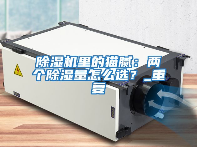 除濕機里的貓膩：兩個除濕量怎么選？_重復