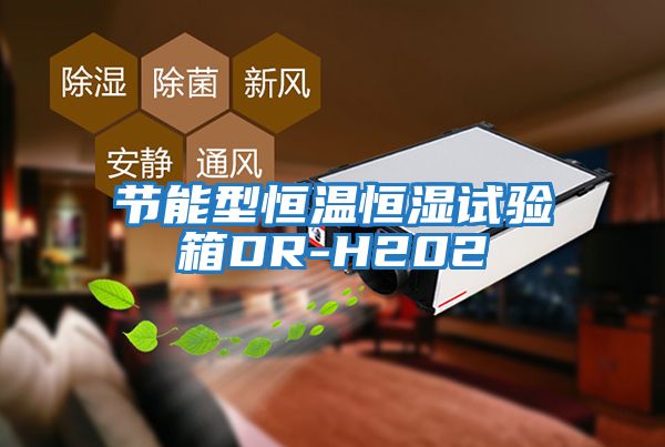 節能型恒溫恒濕試驗箱DR-H202