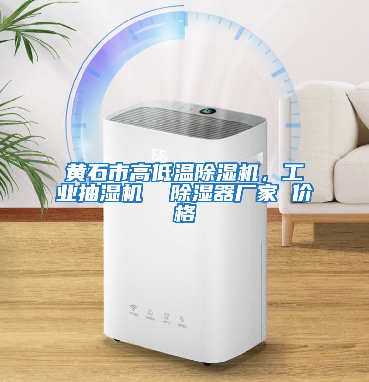 黃石市高低溫除濕機，工業(yè)抽濕機  除濕器廠家 價格