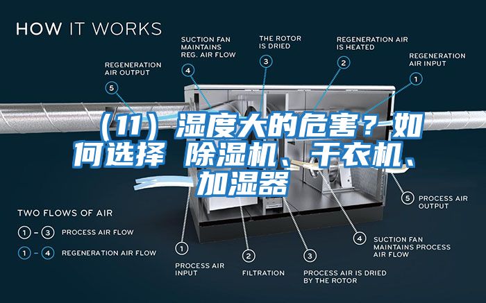 （11）濕度大的危害？如何選擇 除濕機、干衣機、加濕器