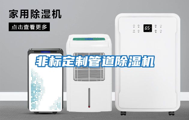 非標定制管道除濕機