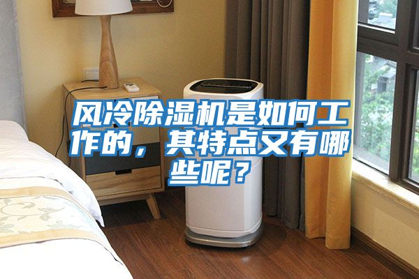 風冷除濕機是如何工作的，其特點又有哪些呢？