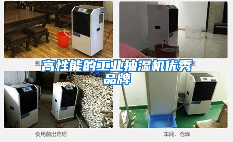 高性能的工業抽濕機優秀品牌