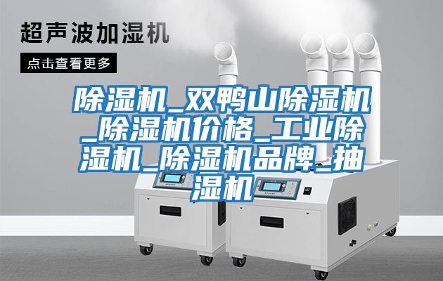 除濕機_雙鴨山除濕機_除濕機價格_工業除濕機_除濕機品牌_抽濕機