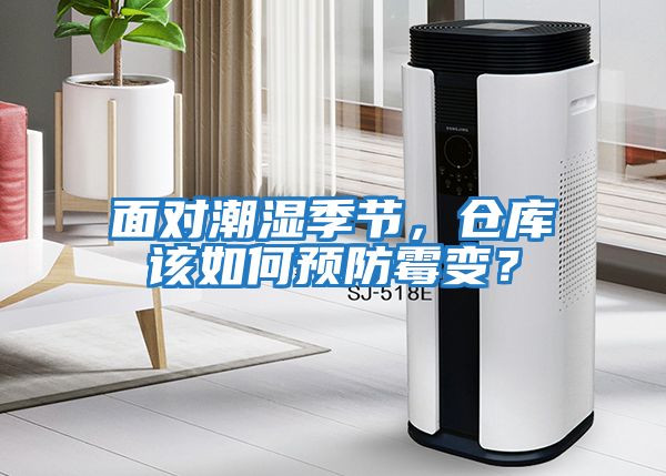 面對潮濕季節，倉庫該如何預防霉變？