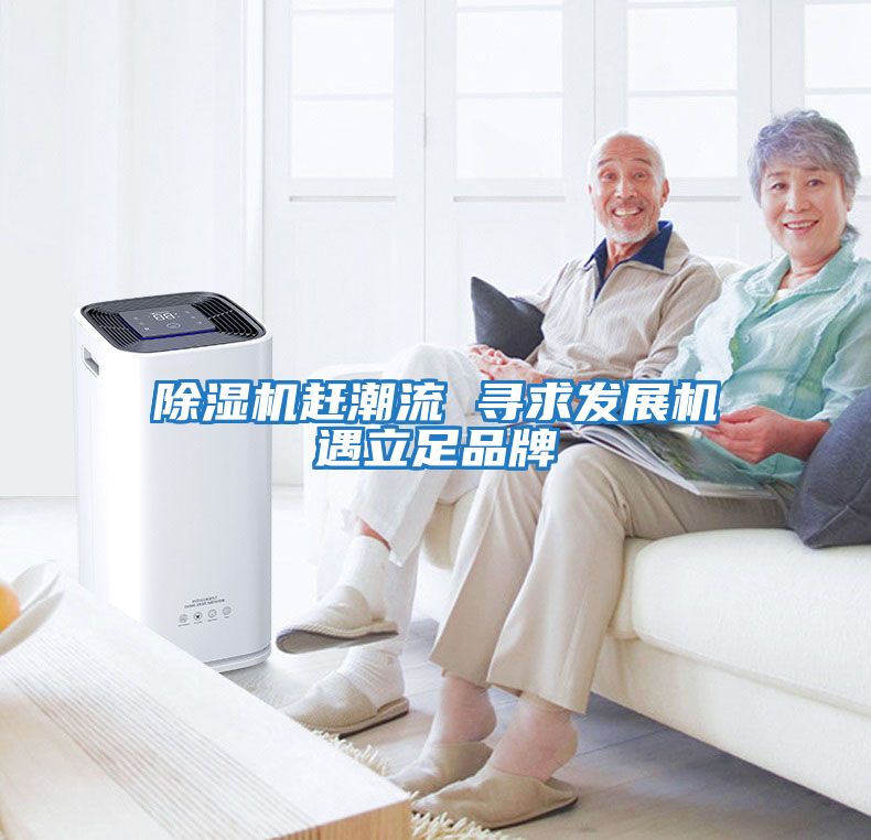 除濕機趕潮流 尋求發展機遇立足品牌
