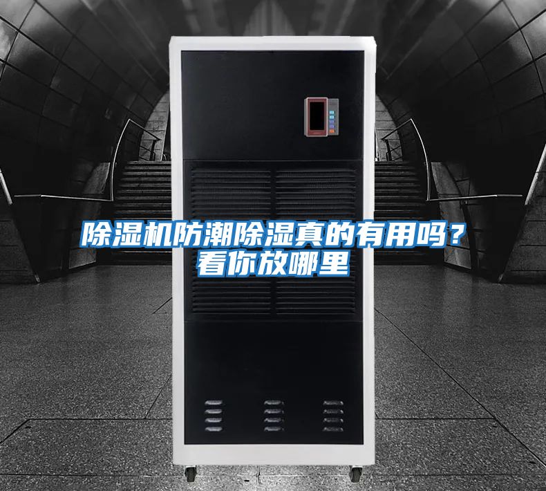 除濕機防潮除濕真的有用嗎？看你放哪里