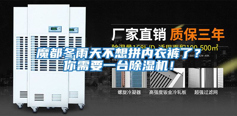 魔都冬雨天不想拼內衣褲了？你需要一臺除濕機！