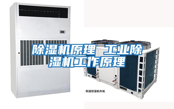 除濕機原理 工業除濕機工作原理