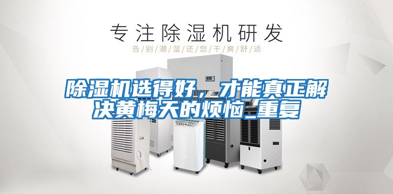 除濕機選得好，才能真正解決黃梅天的煩惱_重復