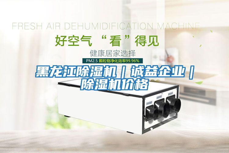 黑龍江除濕機｜誠益企業｜除濕機價格