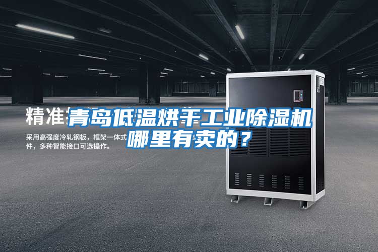 青島低溫烘干工業(yè)除濕機(jī)哪里有賣(mài)的？