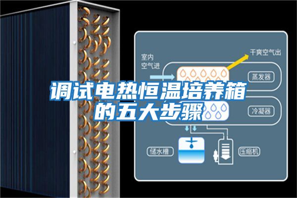 調試電熱恒溫培養箱的五大步驟